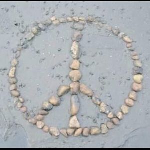 Meet your Posher, Shelly